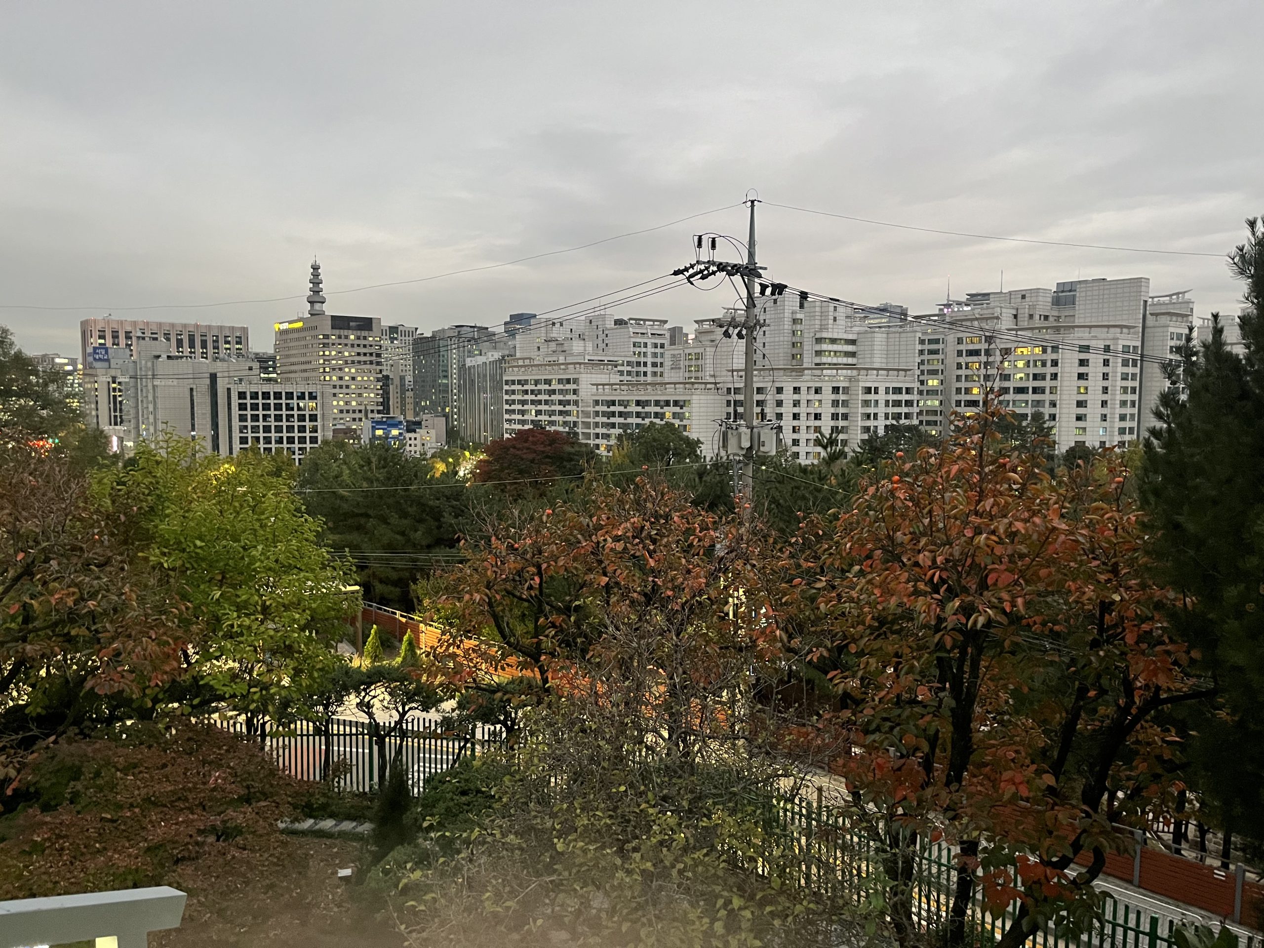종로도서관 주변 나무와 서울 도심 전망